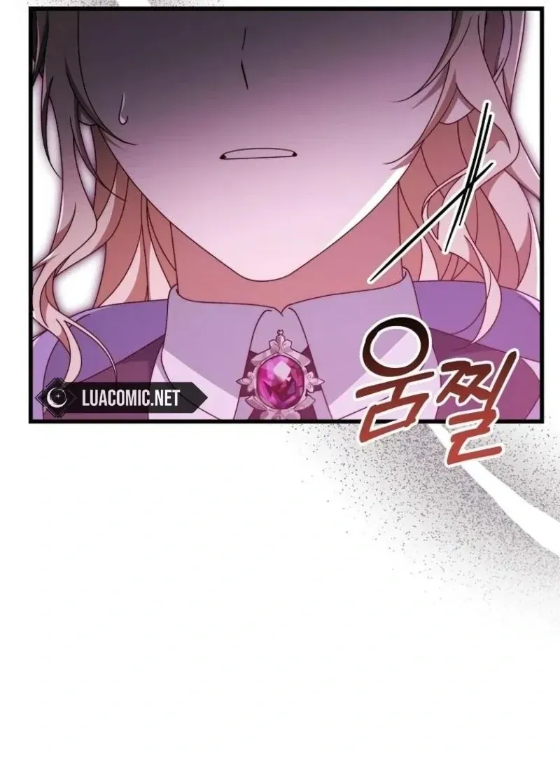It’s My Destiny To Be The Hero’s Saviour Chapter 146 Online - página 106