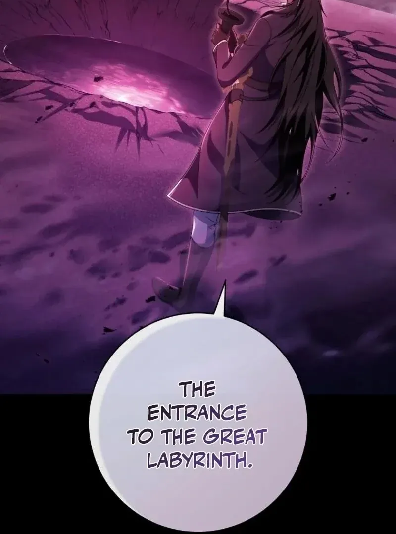 It’s My Destiny To Be The Hero’s Saviour Chapter 146 Online - página 117