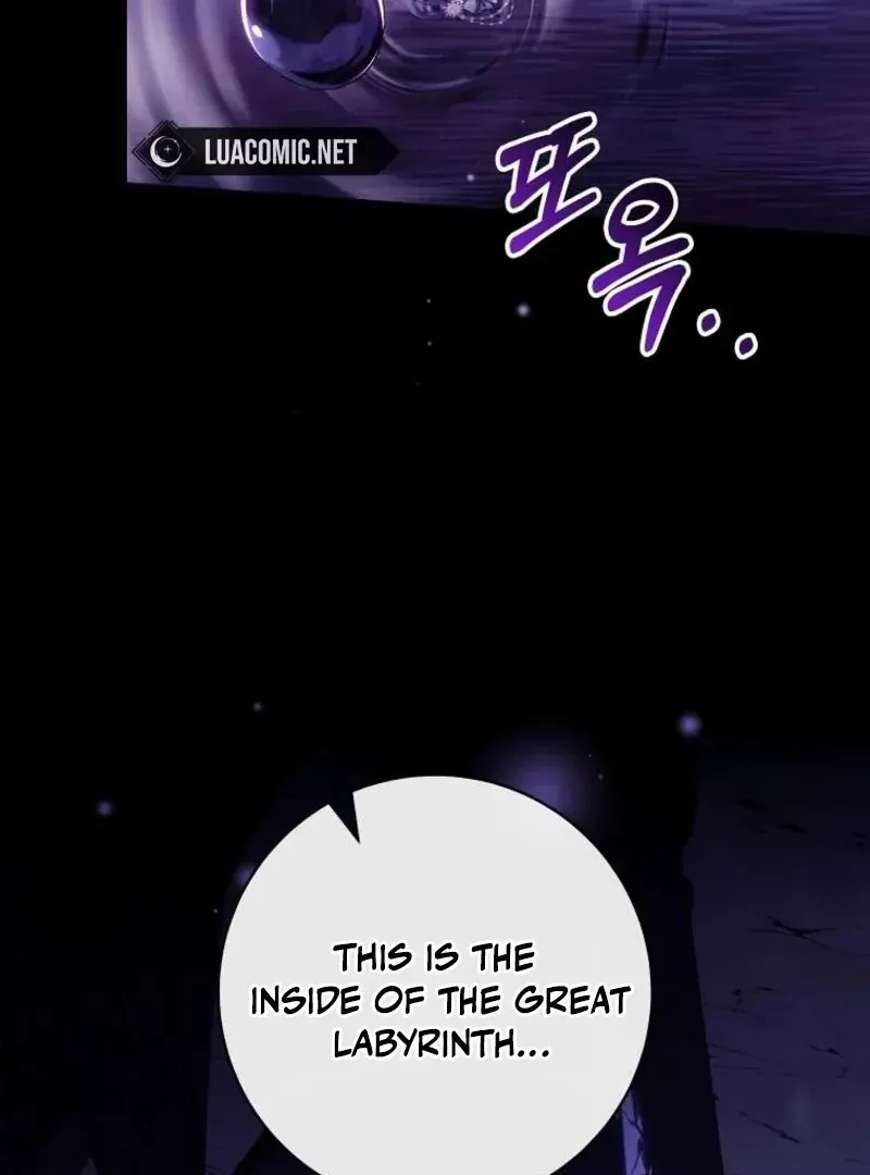It’s My Destiny To Be The Hero’s Saviour Chapter 146 Online - página 120