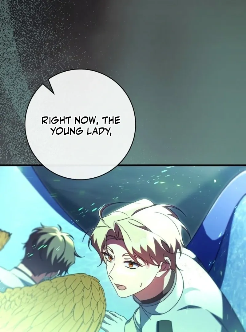 It’s My Destiny To Be The Hero’s Saviour Chapter 158 Online - página 134