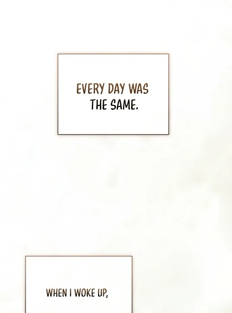 It’s My Destiny To Be The Hero’s Saviour Chapter 164 Online - página 23