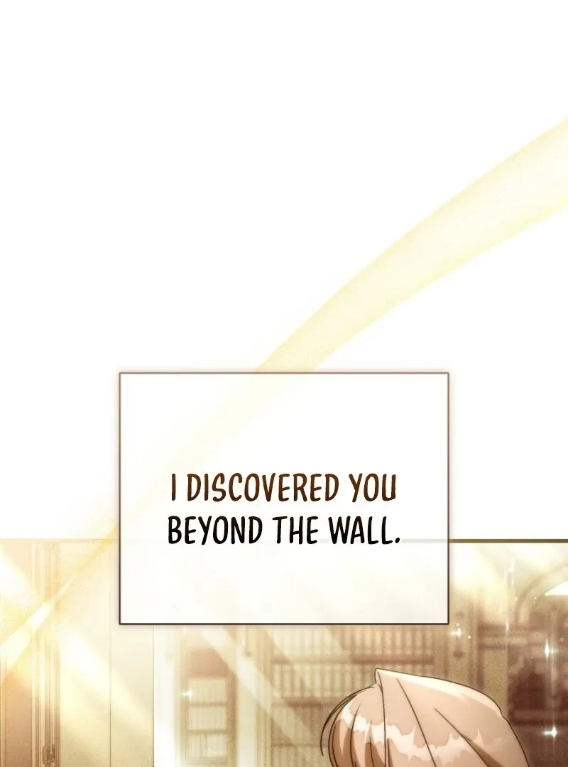 It’s My Destiny To Be The Hero’s Saviour Chapter 164 Online - página 32