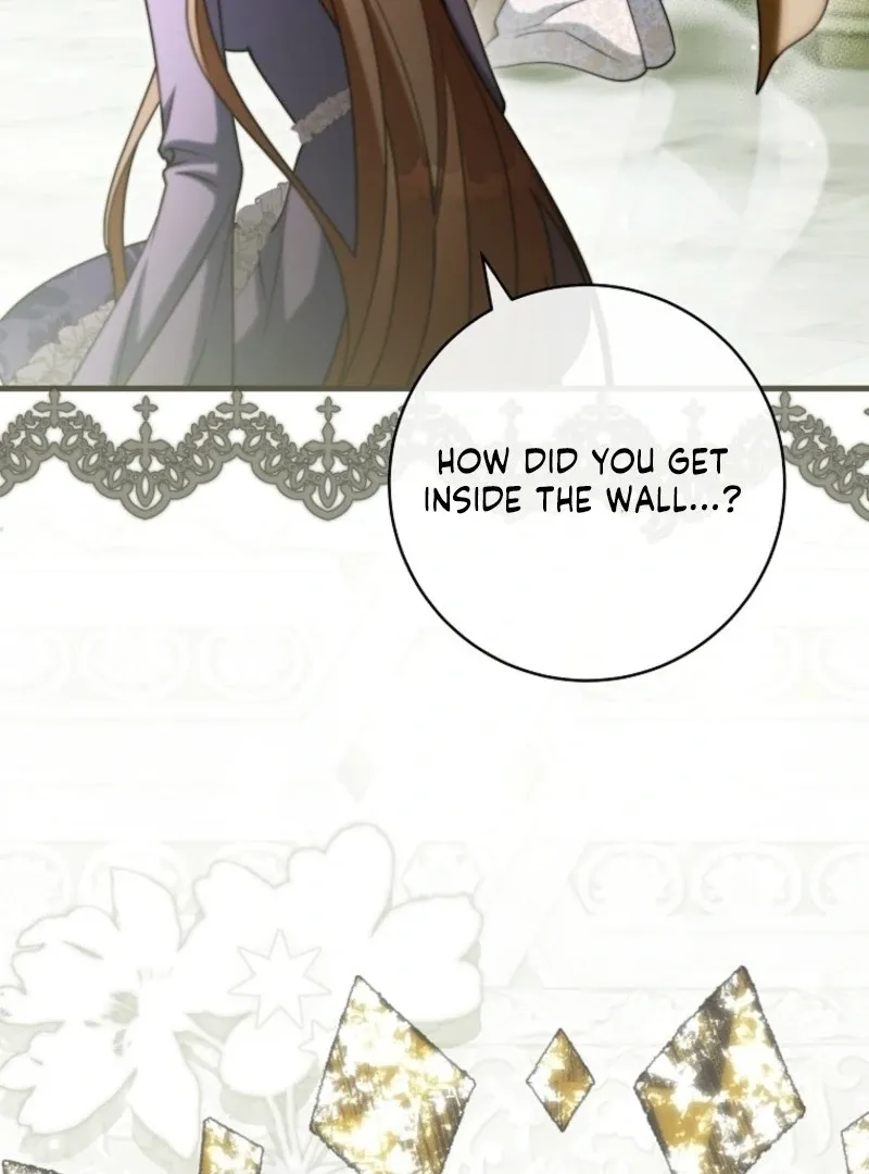 It’s My Destiny To Be The Hero’s Saviour Chapter 164 Online - página 76