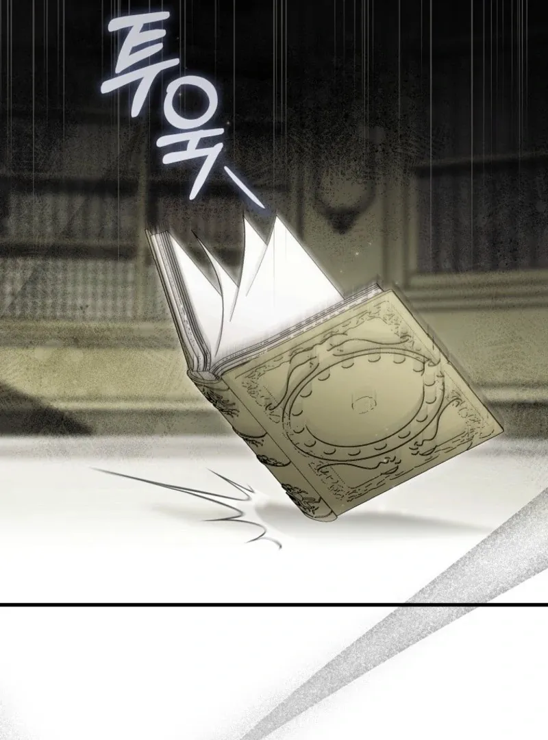It’s My Destiny To Be The Hero’s Saviour Chapter 164 Online - página 110