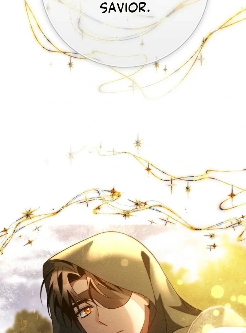 It’s My Destiny To Be The Hero’s Saviour Chapter 164 Online - página 145