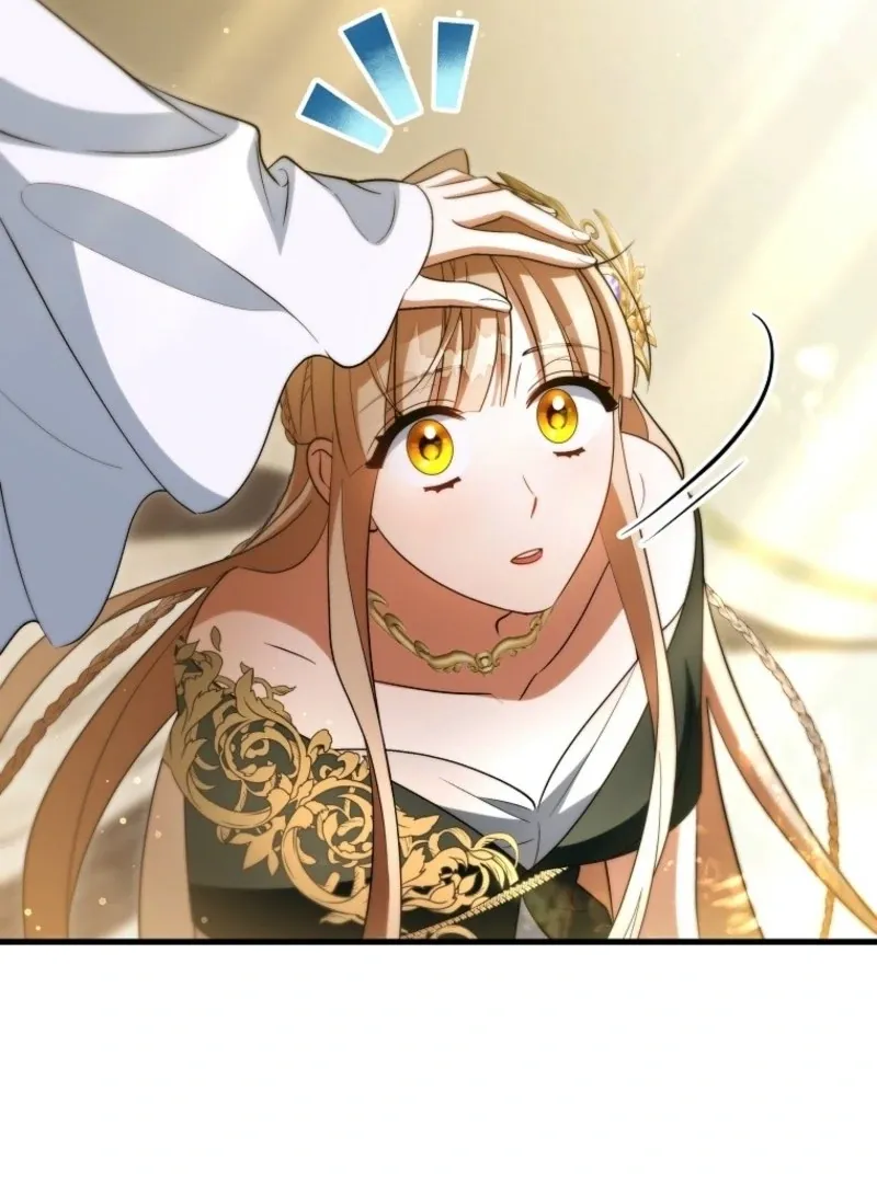 It’s My Destiny To Be The Hero’s Saviour Chapter 164 Online - página 150
