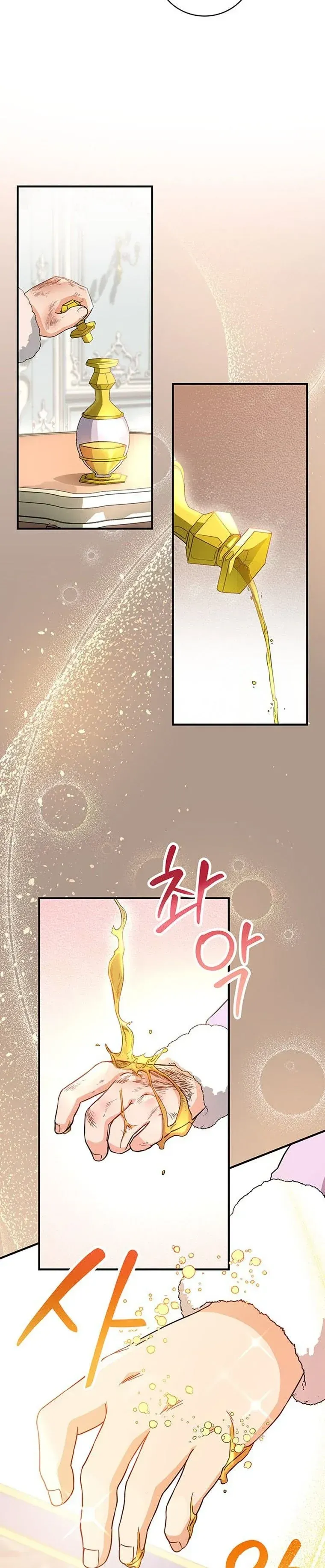 It’s My Destiny To Be The Hero’s Saviour Chapter 6 Online - página 5