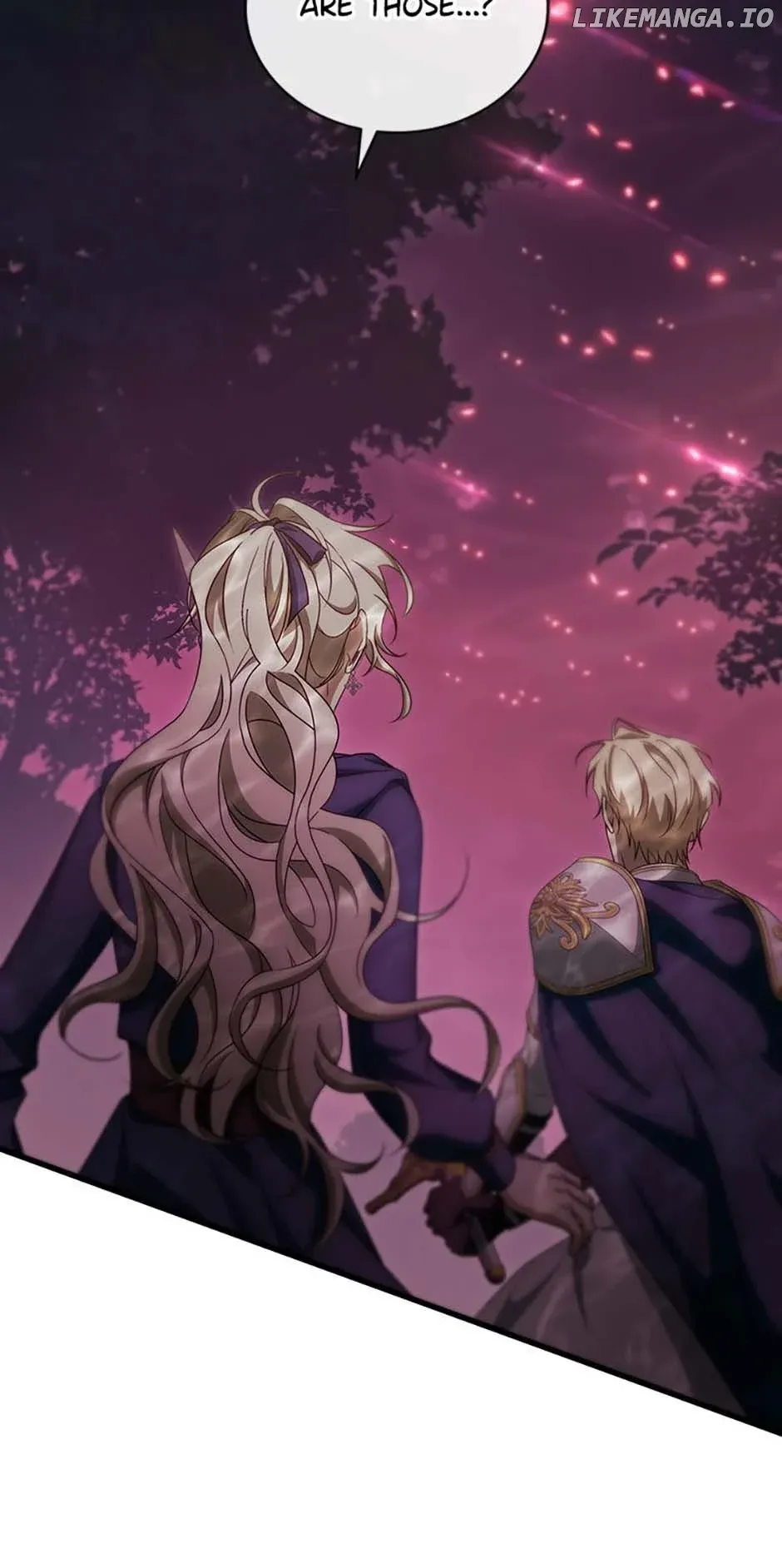 It’s My Destiny To Be The Hero’s Saviour Chapter 89 Online - página 13