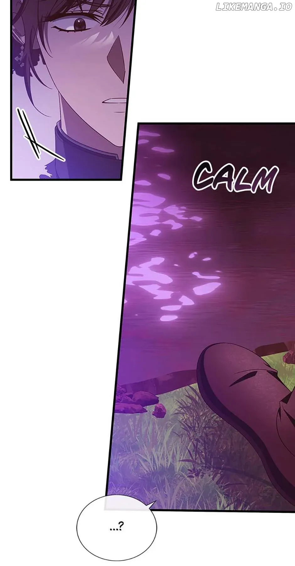 It’s My Destiny To Be The Hero’s Saviour Chapter 95 Online - página 15