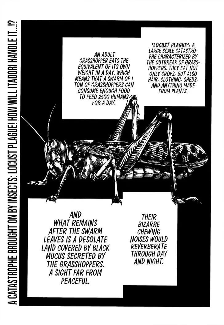 JUJUTSU KAISEN Chapter 87 Online - página 2