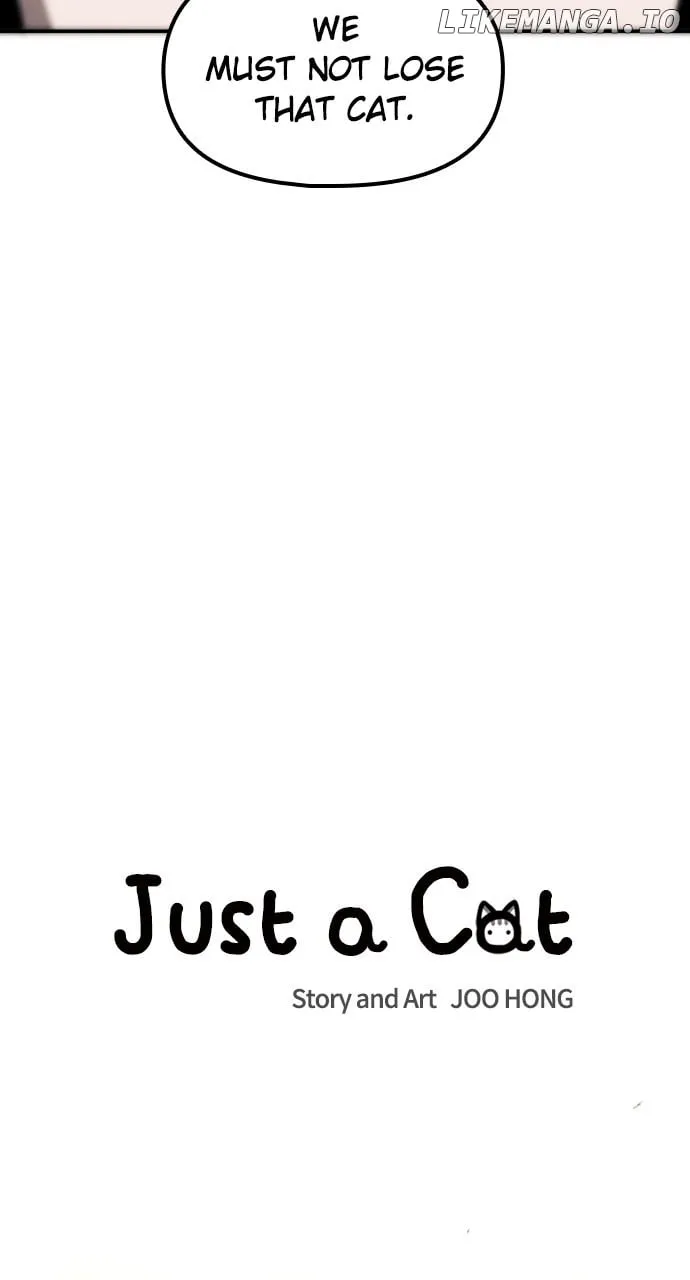 Just A Cat Chapter 16 Online - página 9