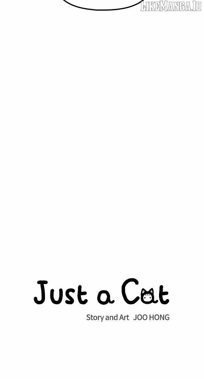 Just A Cat Chapter 26 Online - página 20