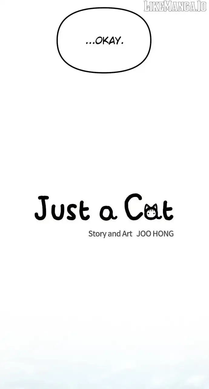 Just A Cat Chapter 30 Online - página 18