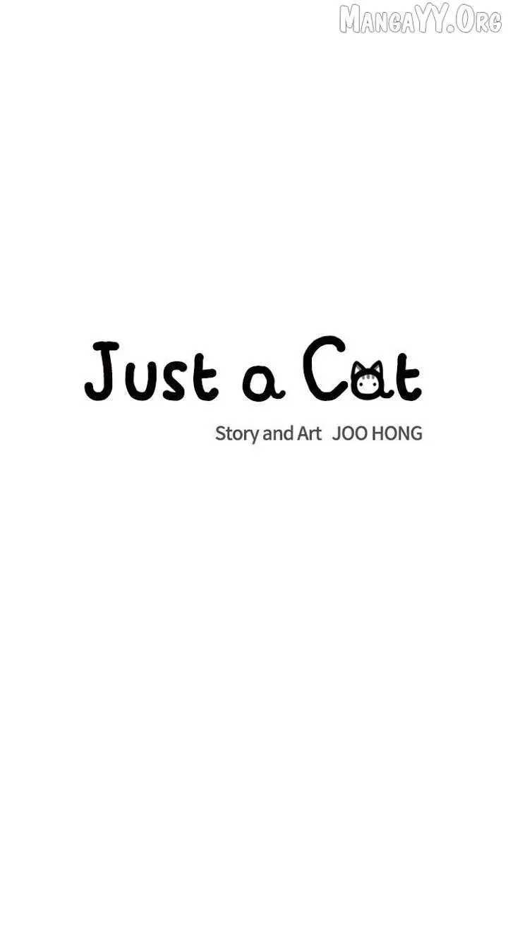 Just A Cat Chapter 35 Online - página 6
