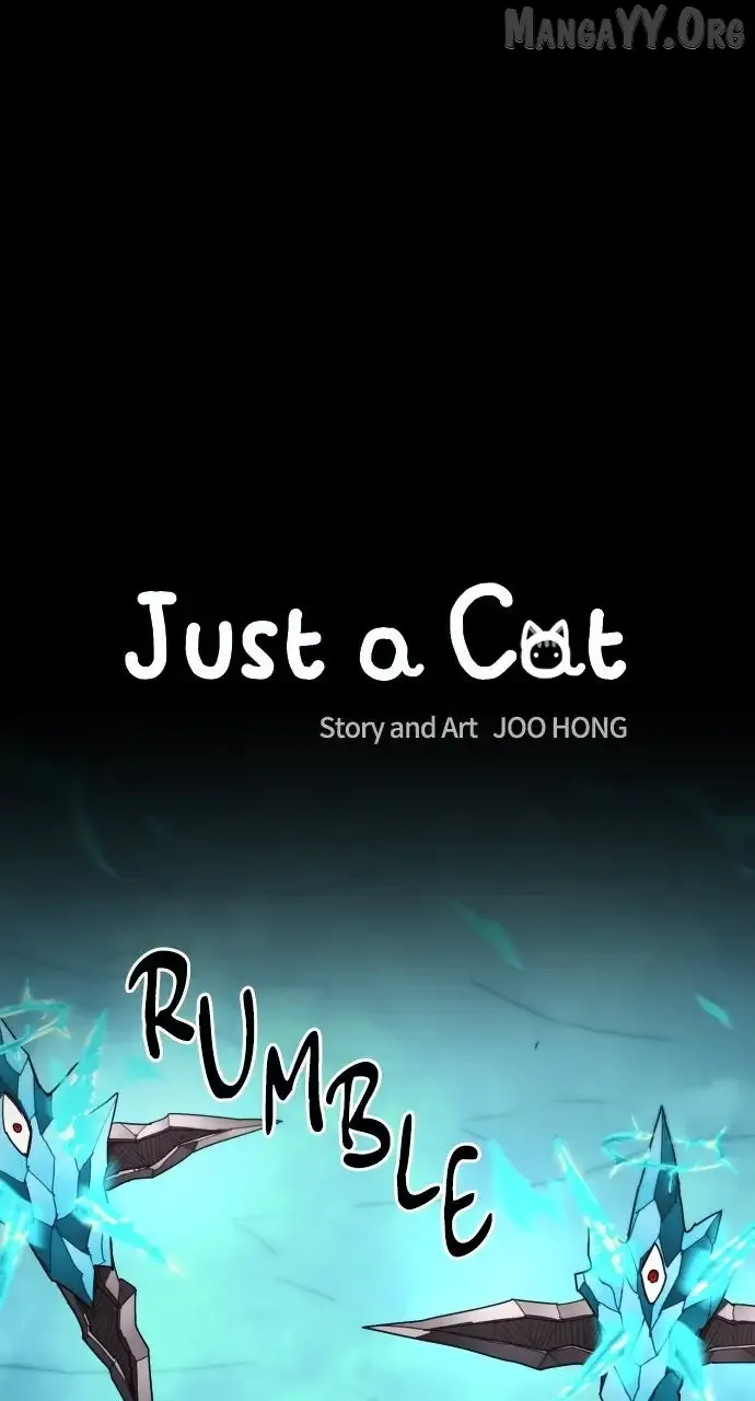 Just A Cat Chapter 36 Online - página 13