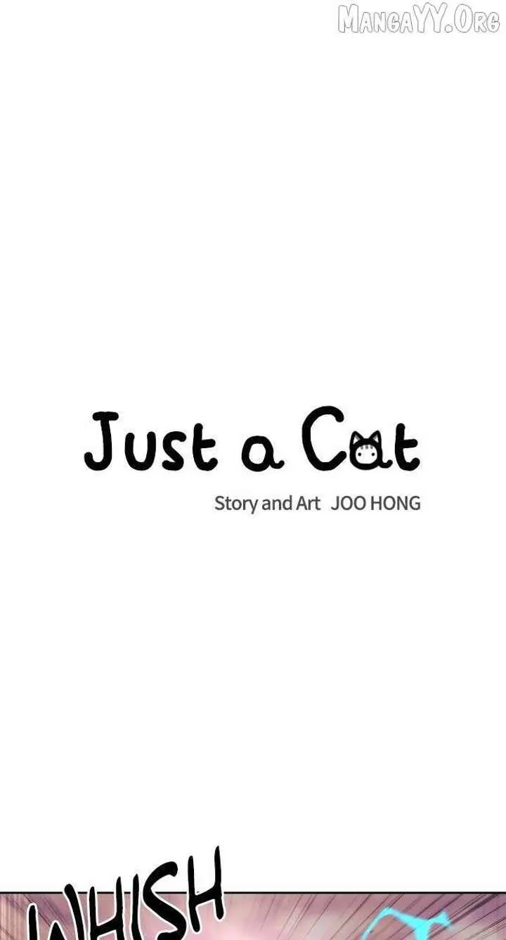 Just A Cat Chapter 38 Online - página 10