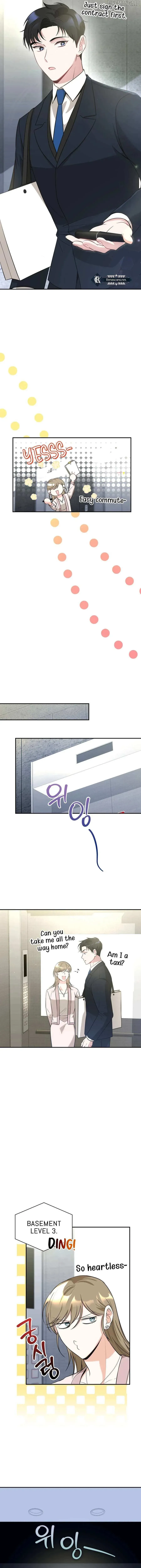 Kissing Is a Violation of Contract Chapter 14 Online - página 12