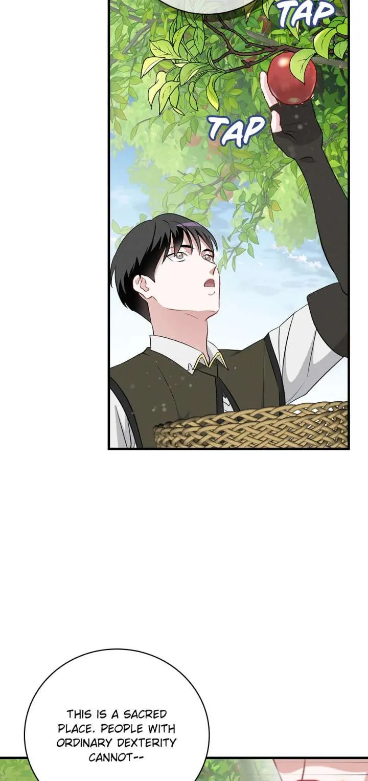 Leveling Up, By Only Eating! Chapter 207 Online - página 45