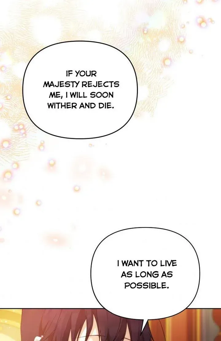 Lillian of Turin Chapter 30 Online - página 58
