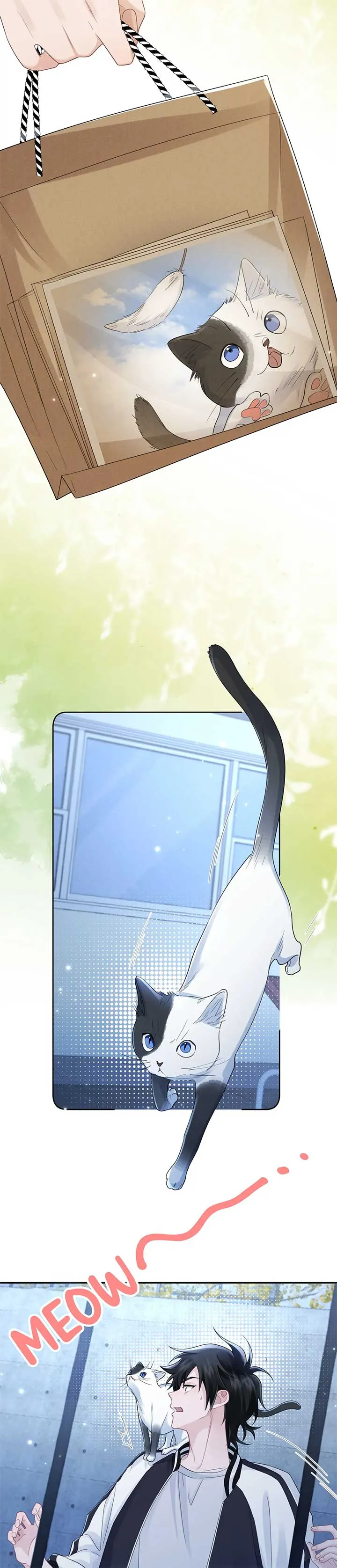 Link Click Chapter 12 Online - página 21