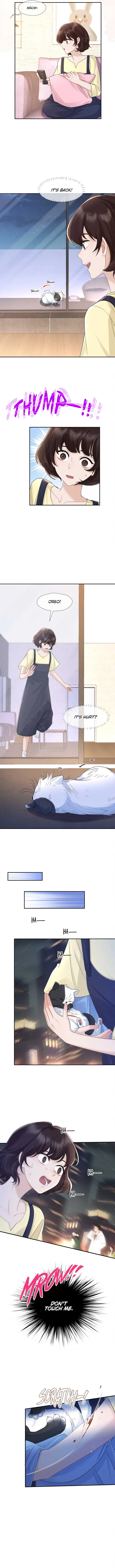 Link Click Chapter 14 Online - página 6