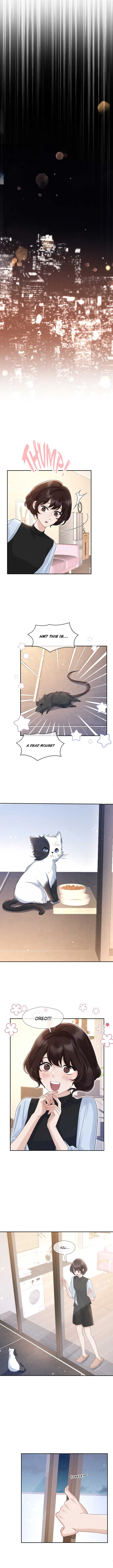 Link Click Chapter 14 Online - página 8