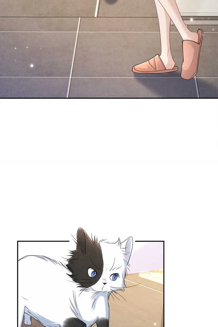 Link Click Chapter 15 Online - página 12