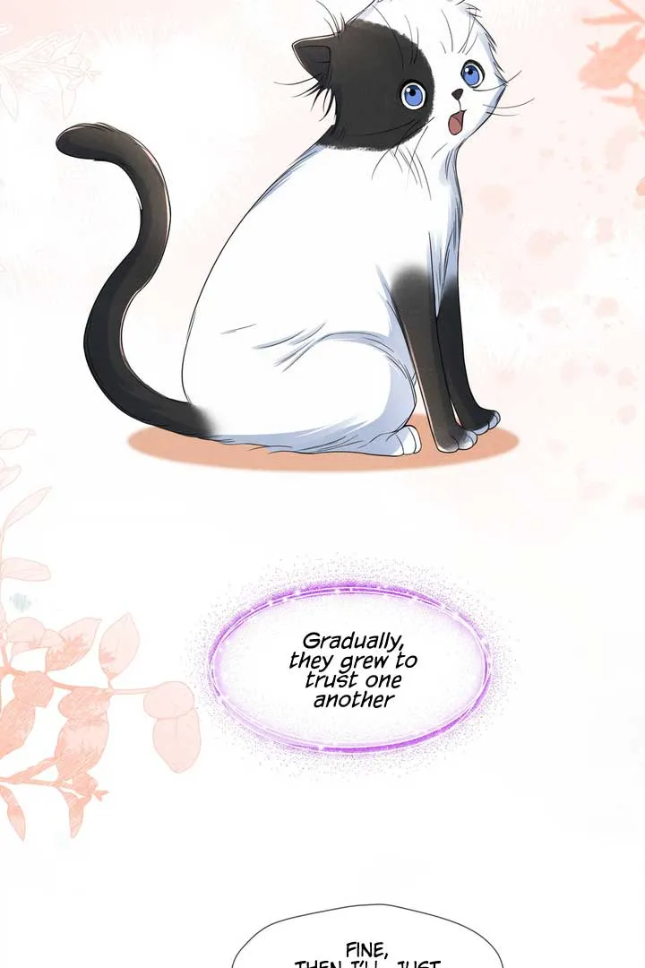 Link Click Chapter 15 Online - página 15