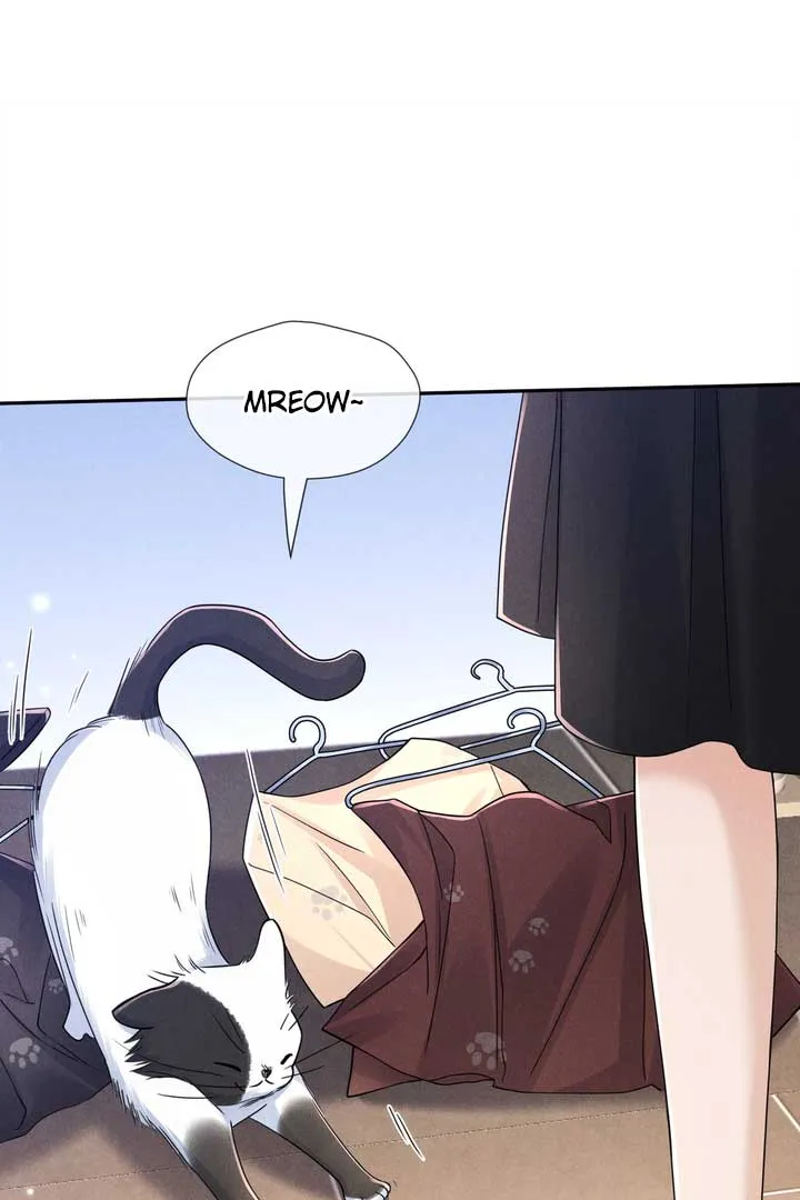Link Click Chapter 15 Online - página 33