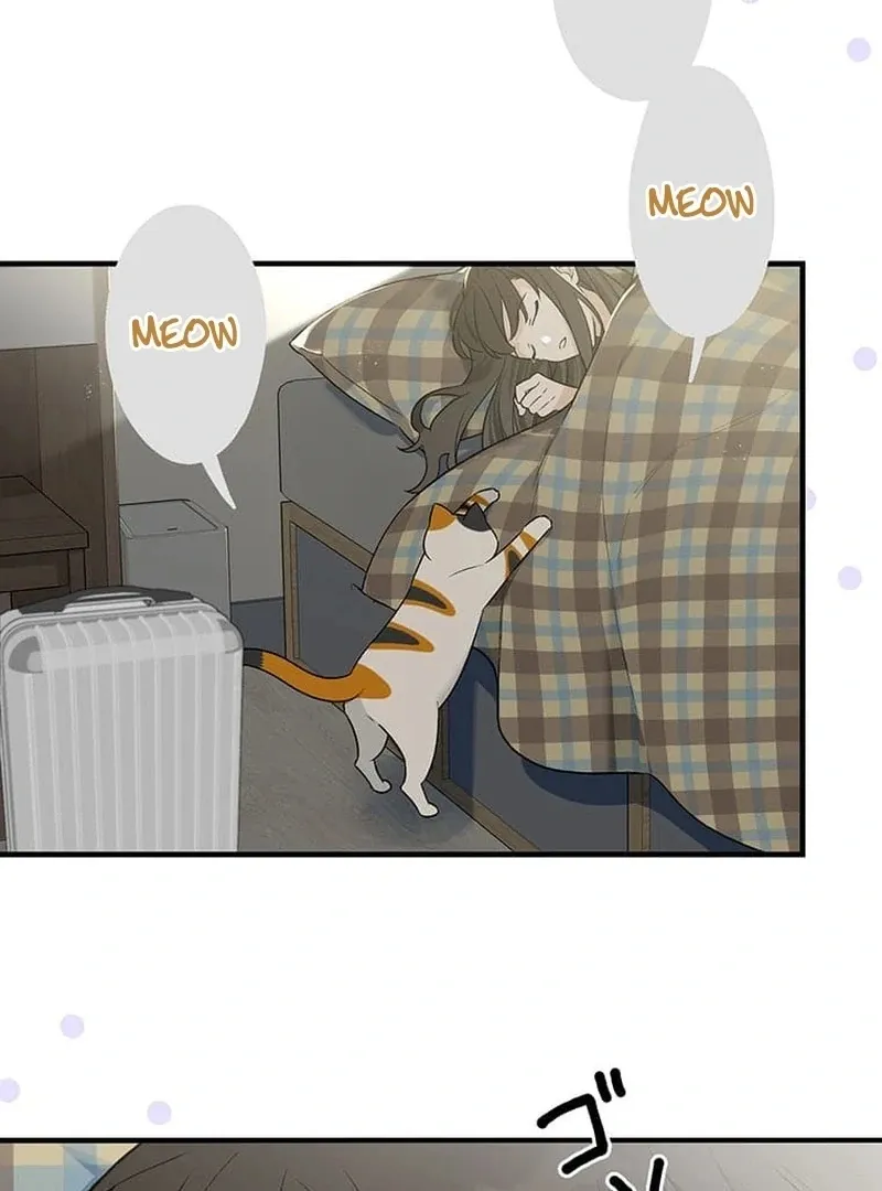 Living with My Favorite Person is Too Precious Chapter 1 Online - página 3