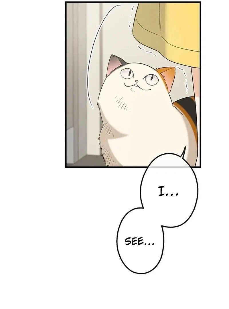 Living with My Favorite Person is Too Precious Chapter 12 Online - página 77
