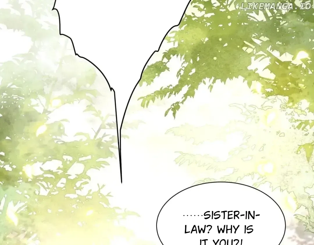 Lonely Emperor Chases His Sister-in-Law Chapter 58 Online - página 28