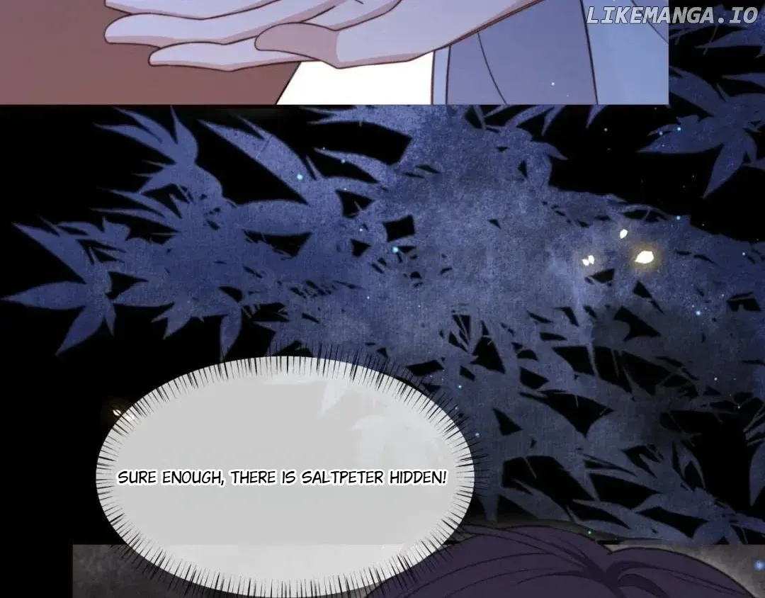 Lonely Emperor Chases His Sister-in-Law Chapter 65 Online - página 87