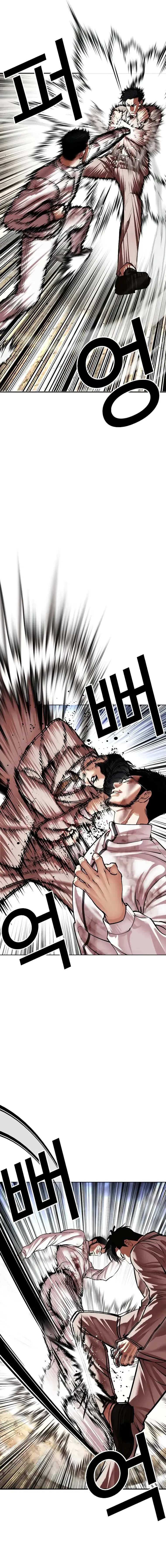 Lookism Chapter 494 Online - página 13