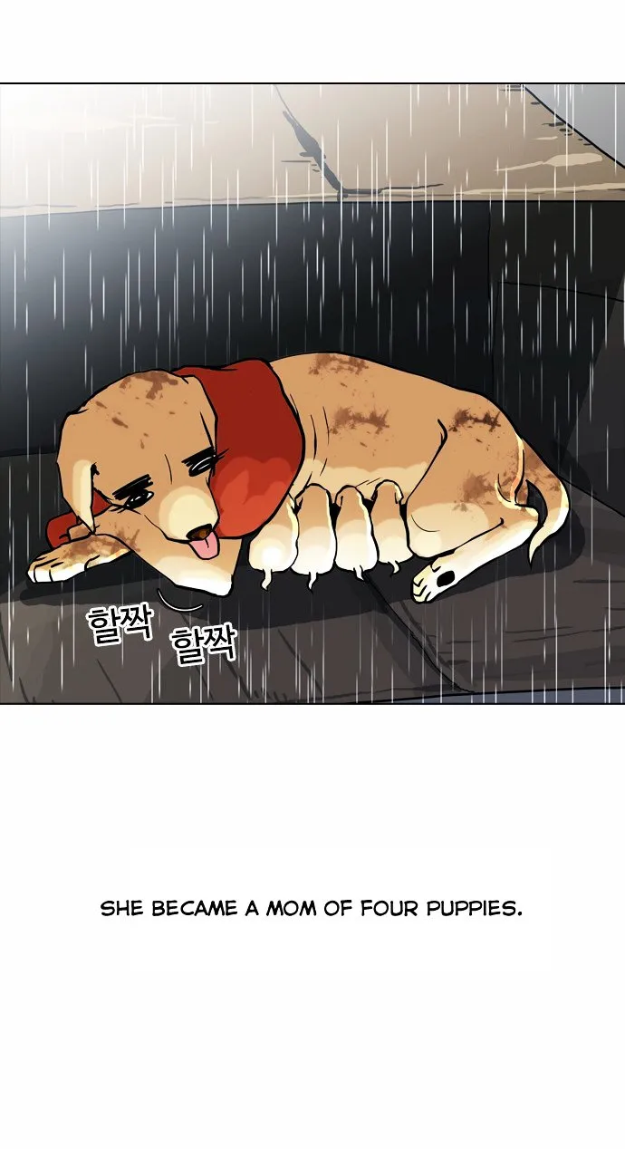 Lookism Chapter 61 Online - página 10