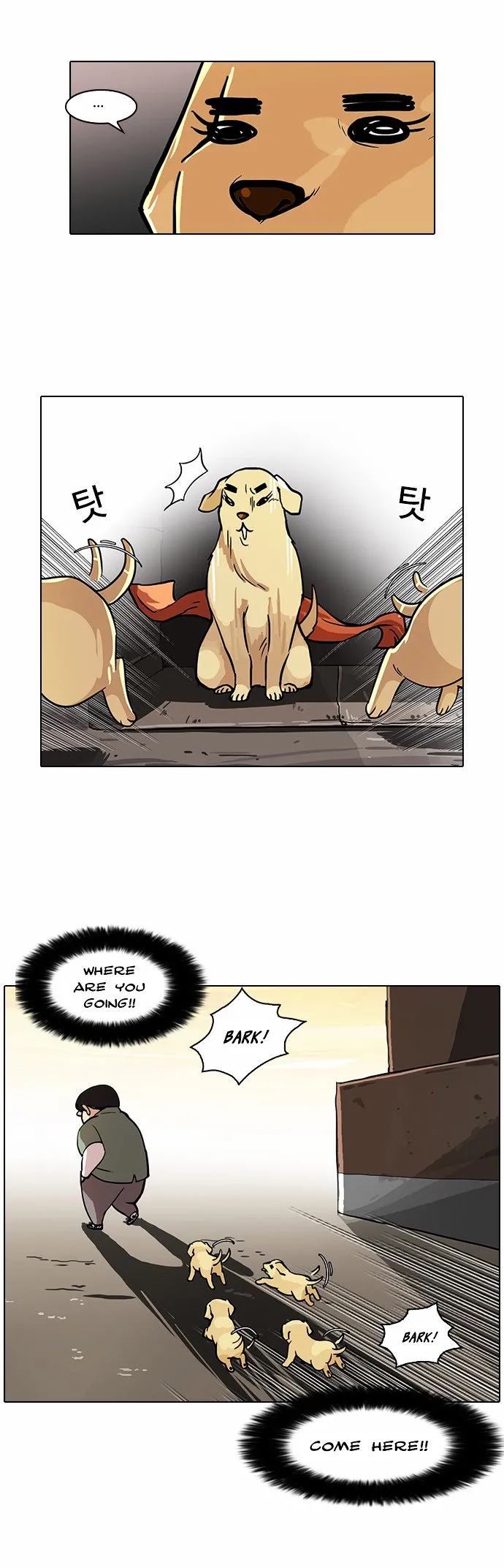 Lookism Chapter 62 Online - página 22