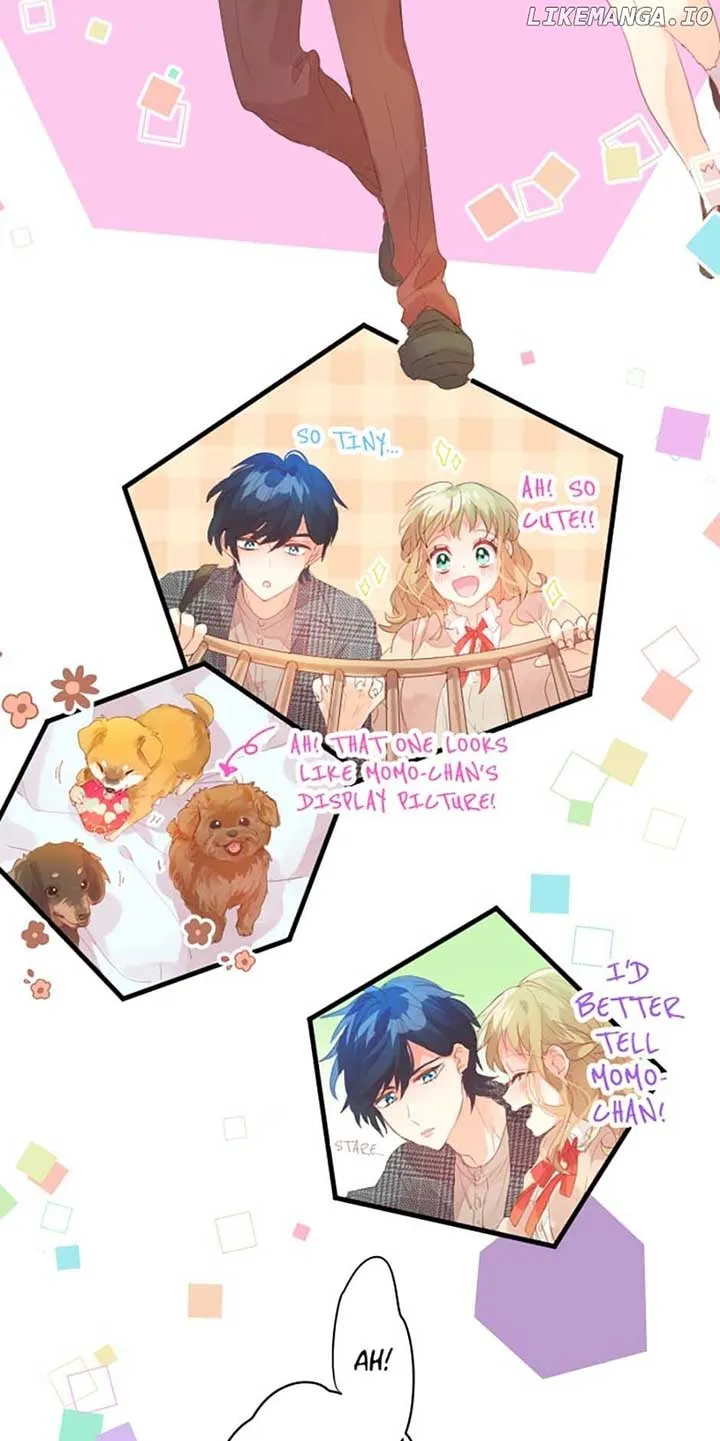 Love Hug Chapter 230 Online - página 14
