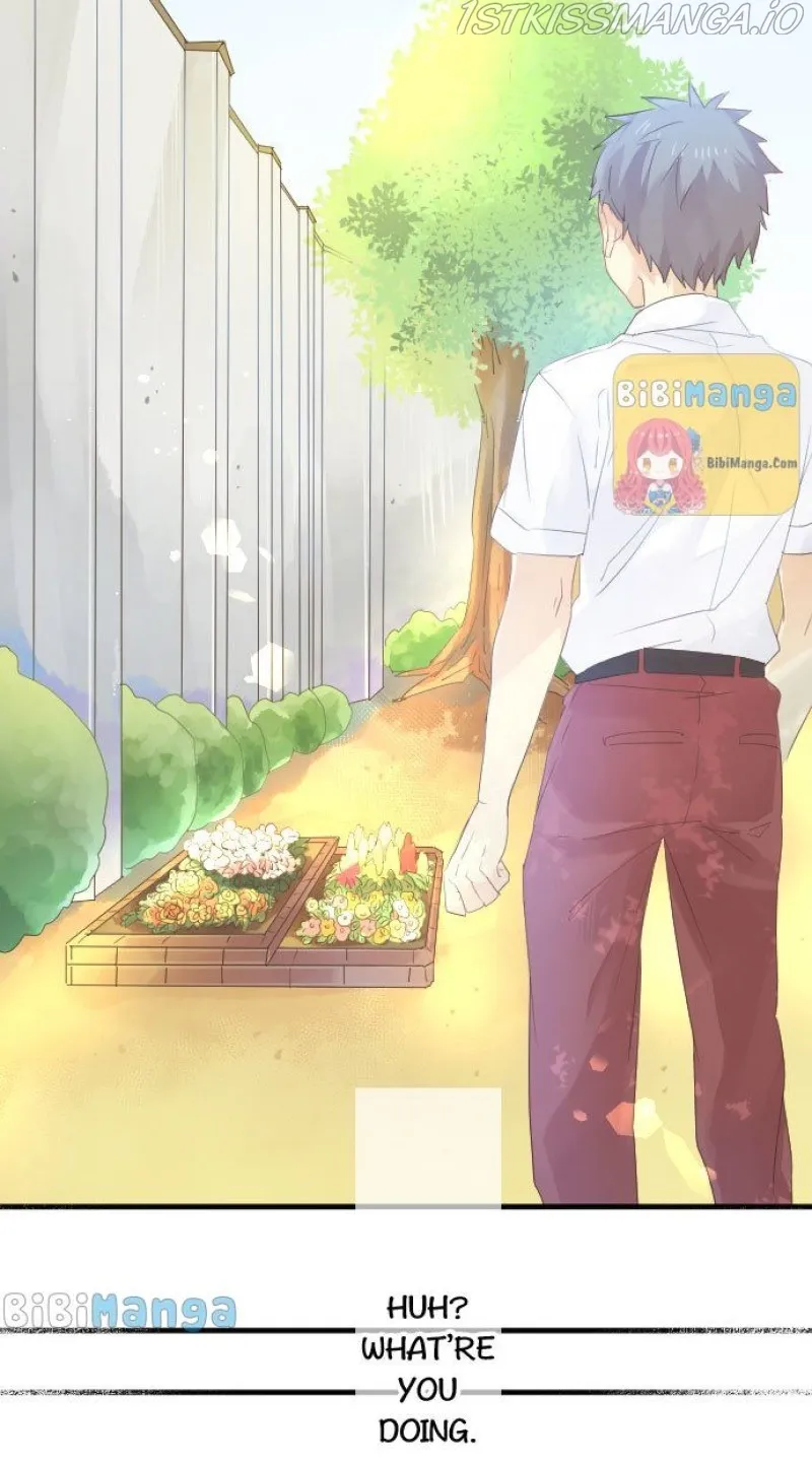 Love Hug Chapter 66 Online - página 3