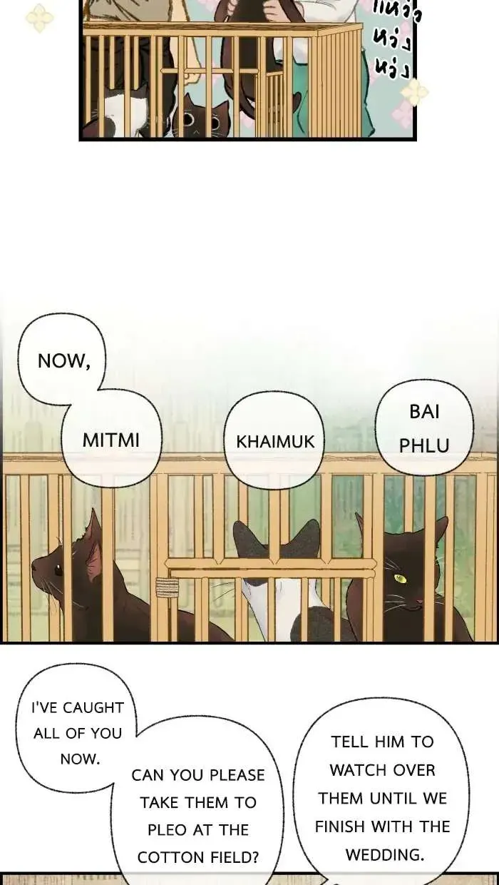 Loveless Heroine Chapter 35 Online - página 5