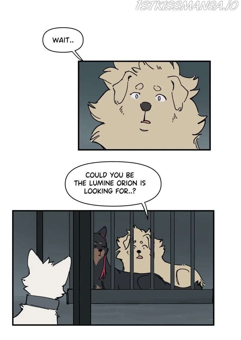 LUMINE Chapter 149 Online - pƔgina 13