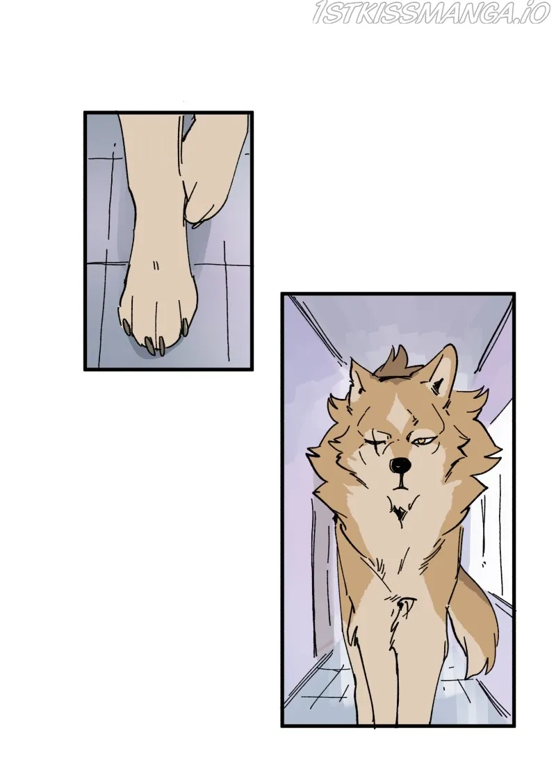 LUMINE Chapter 154 Online - página 10