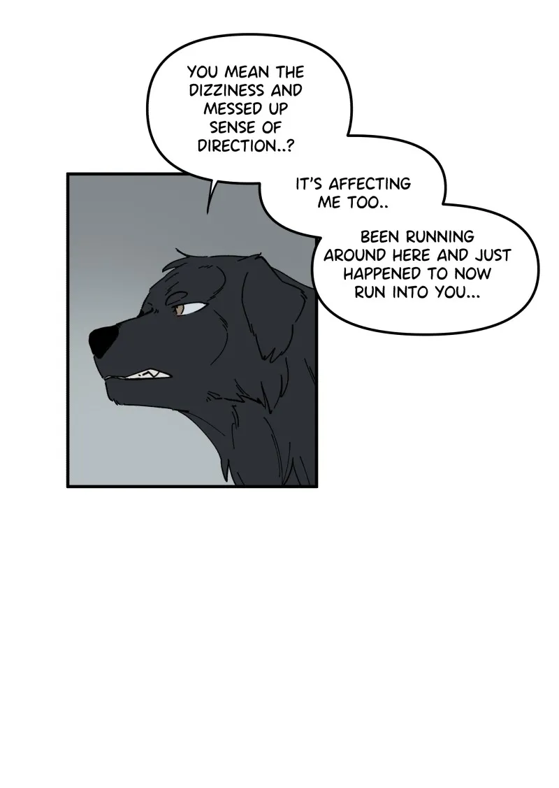 LUMINE Chapter 166 Online - página 11