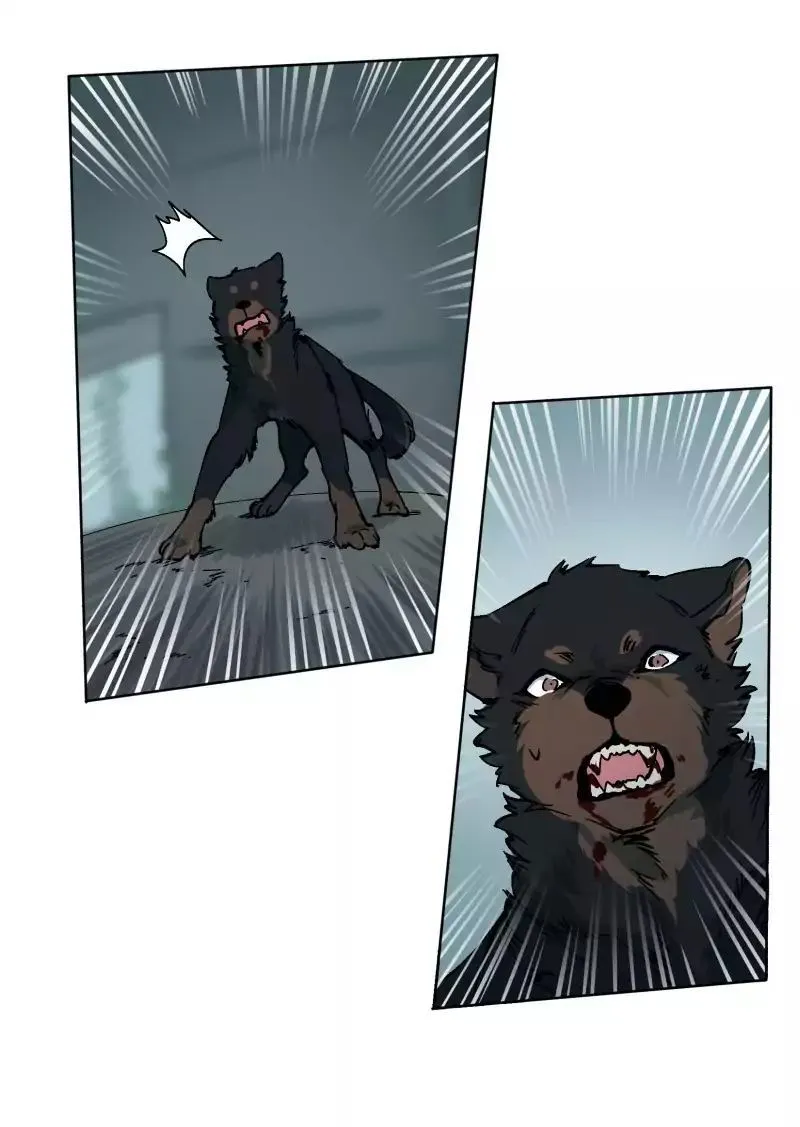 LUMINE Chapter 28 Online - pƔgina 37