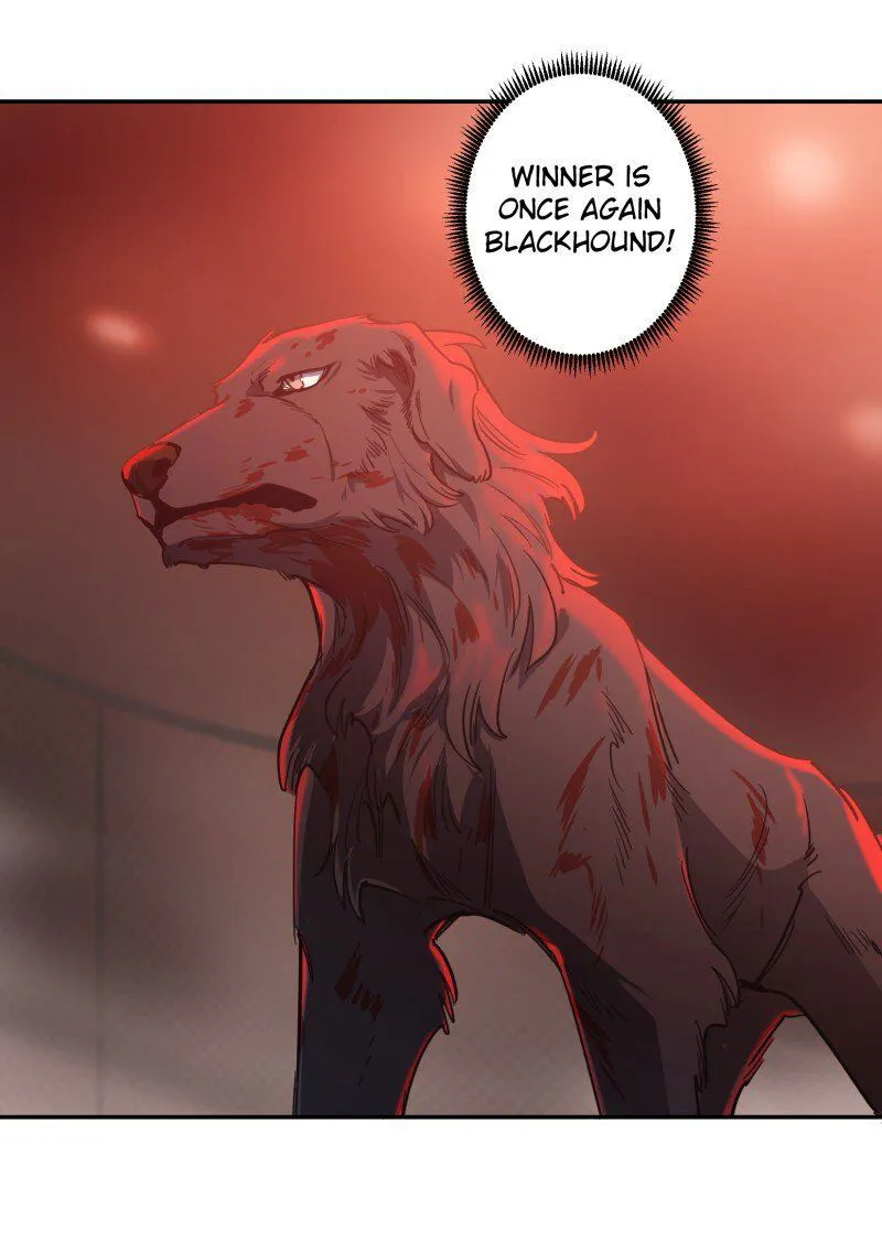 LUMINE Chapter 80 Online - pƔgina 10