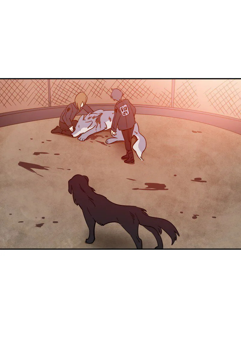 LUMINE Chapter 80 Online - pƔgina 12