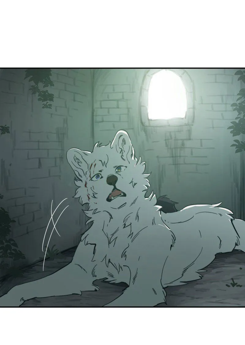 LUMINE Chapter 85 Online - pƔgina 19