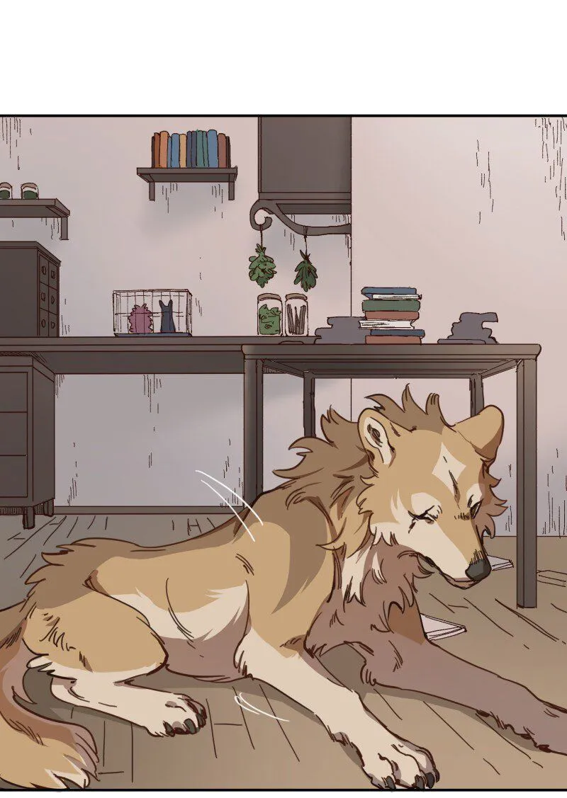 LUMINE Chapter 86 Online - pƔgina 19