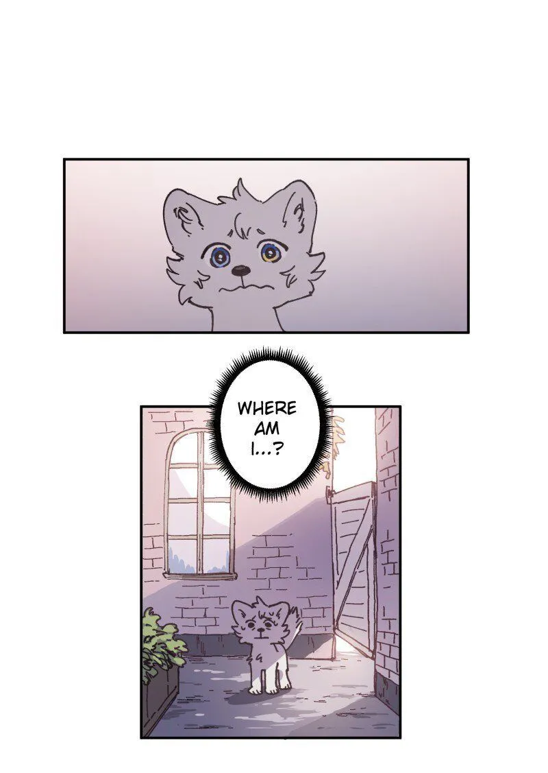 LUMINE Chapter 87 Online - pƔgina 20