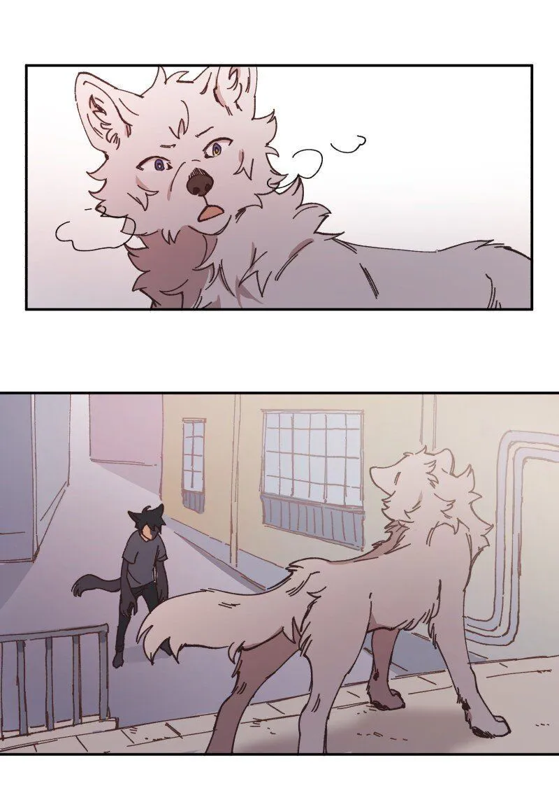 LUMINE Chapter 97 Online - pƔgina 40