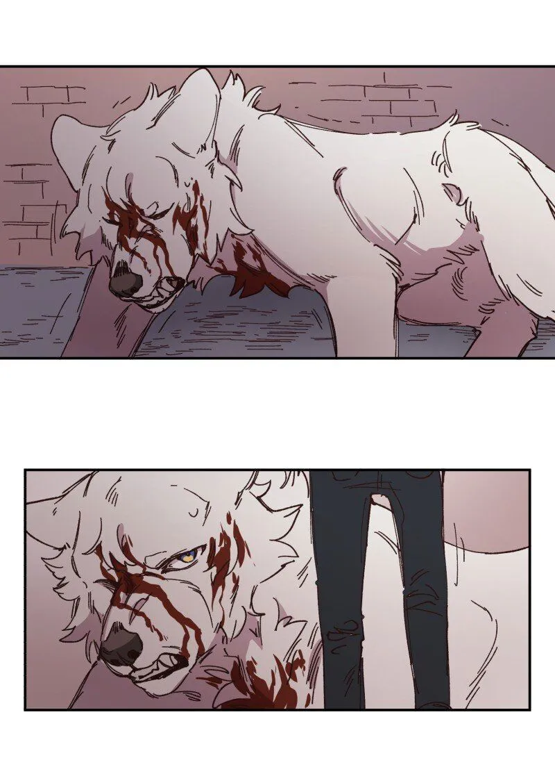 LUMINE Chapter 98 Online - pƔgina 21